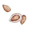 Almond